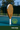 PadelDogs.com Cork Padel Extreme Deus